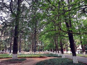 Kunming - Universite du Yunnan (54)